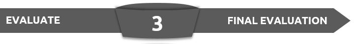 program life cycle-3